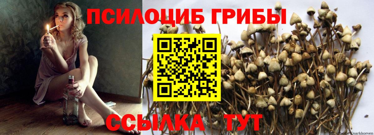 Псилоцибиновые грибы мухоморы Бирск